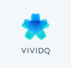 VividQ